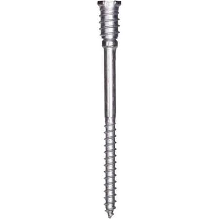 Hot House Designs 0.25 x 3.12 in. Stainless Steel Shim Head Screw HO1837134
